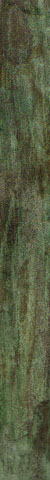 dark green 5