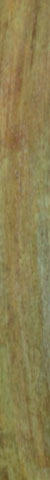 ochre 5